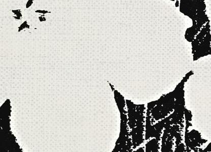 Фрагмент FLOWERS четыре белвх цветка