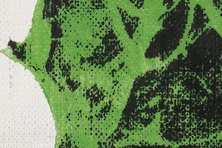 Фрагмент FLOWERS два белых два голубых