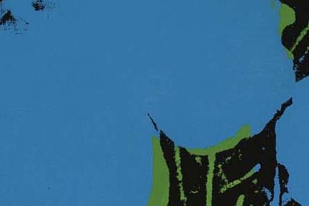 Фрагмент FLOWERS два голубых, оранж и темно сиреневый