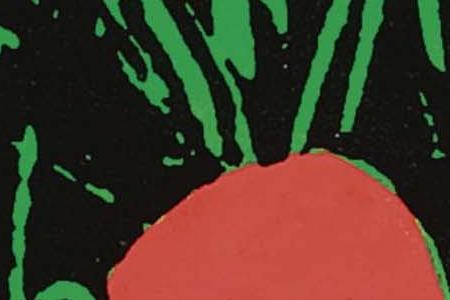 Фрагмент FLOWERS два гряхно-розовых белый и синий