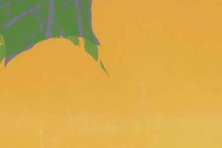 Фрагмент FLOWERS два грязно желтых, грязно розовый и грязно бордовый