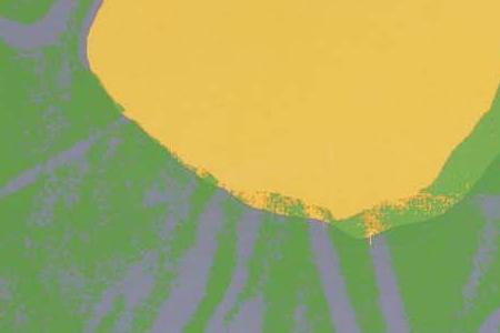 Фрагмент FLOWERS два грязно желтых, грязно розовый и грязно бордовый