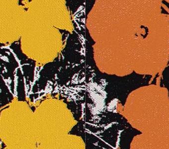 Фрагмент FLOWERS композиция 24 цветка на черно белом фоне