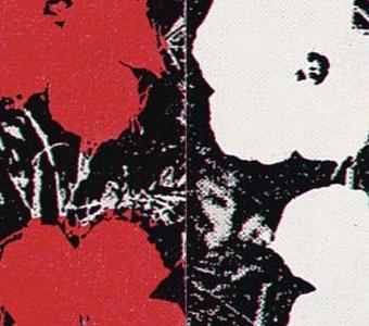 Фрагмент FLOWERS композиция 24 цветка на черно белом фоне