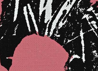 Фрагмент FLOWERS темно розовые на черно белом фоне