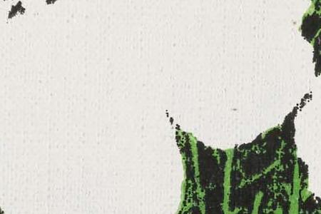 Фрагмент FLOWERS три белых и один голубой