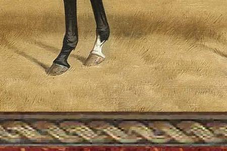 Фрагмент Flying Fox