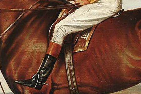 Фрагмент Flying Fox