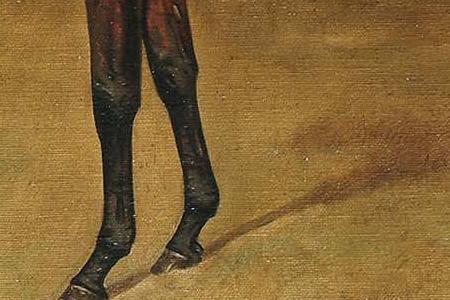 Фрагмент Flying Fox