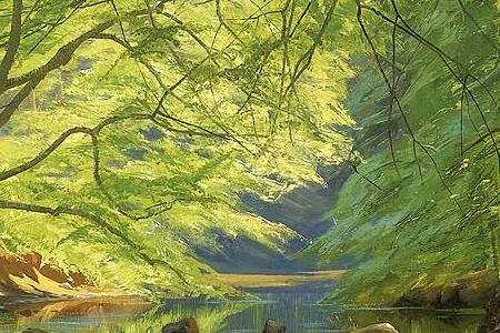 Фрагмент FOREST STREAM