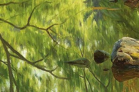 Фрагмент FOREST STREAM