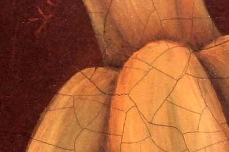 Фрагмент Foschsia Fresco