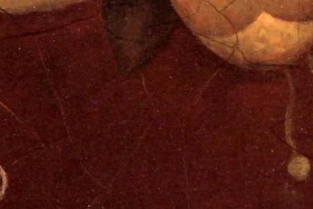 Фрагмент Foschsia Fresco