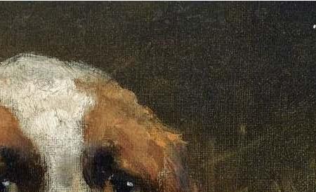 Фрагмент FOUR CURIOUS SAINT BERNARDS PUPPIES