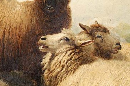 Фрагмент Four sheep in a landscape