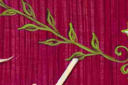 Фрагмент FRESH ORGANIK