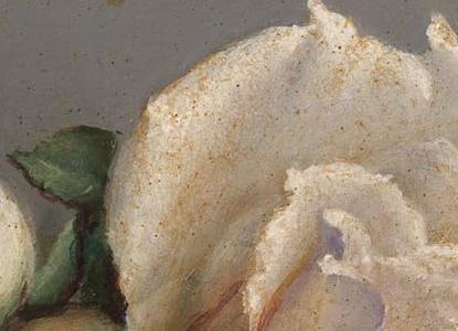 Фрагмент Fresh Roses