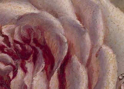 Фрагмент Fresh Roses