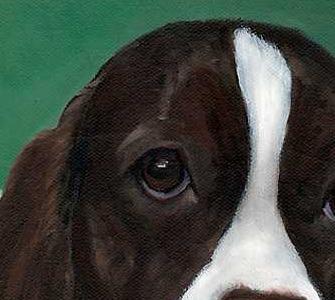 Фрагмент Герцог Бейк