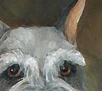 Фрагмент Герцог фон Терри