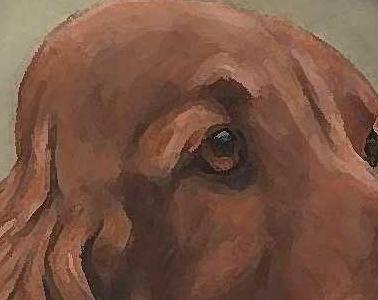 Фрагмент Гецог фон Браун