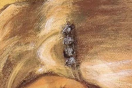 Фрагмент Girl’s best friend