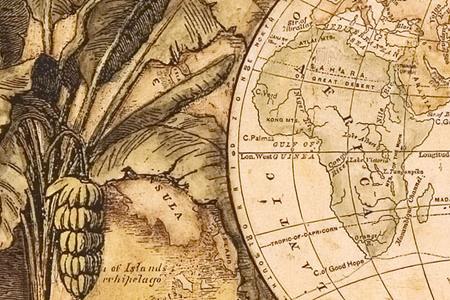 Фрагмент Global safari map I.