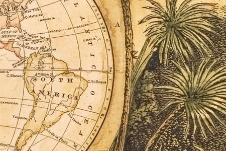 Фрагмент Global safari map II.