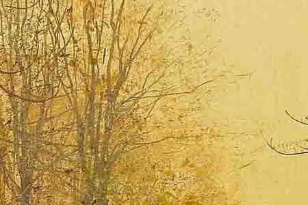 Фрагмент Golden Autumn