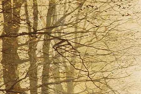 Фрагмент Golden Eve