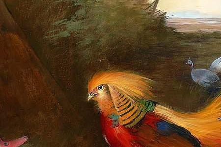 Фрагмент Golden pheasant and miscellaneous fowl