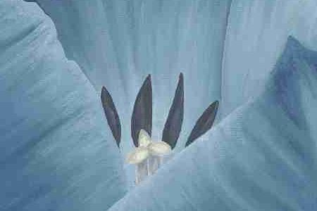 Фрагмент Голубой тюльпан 2