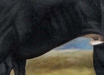 Фрагмент Гончая II