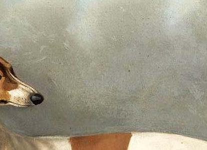 Фрагмент Гончая