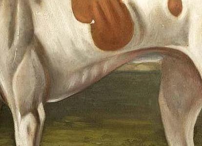 Фрагмент Гончая