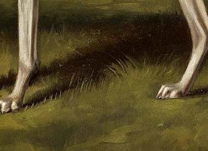 Фрагмент Гончая