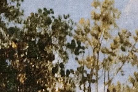 Фрагмент Горный пейзаж. Фрагмент