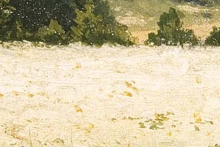 Фрагмент Гречиха в цвету. 1901.