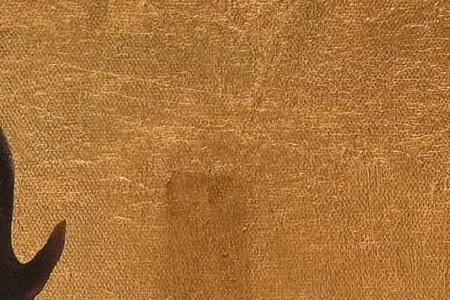 Фрагмент Hats on hudson