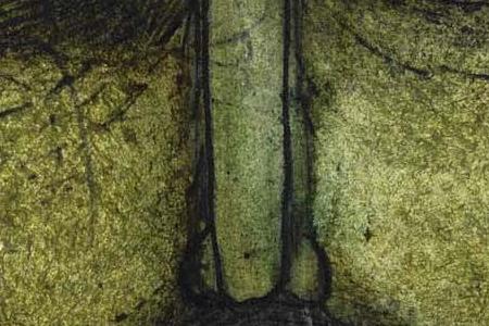 Фрагмент HOLY FACE