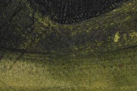 Фрагмент HOLY FACE