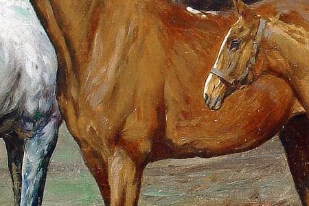 Фрагмент Horses in a paddock