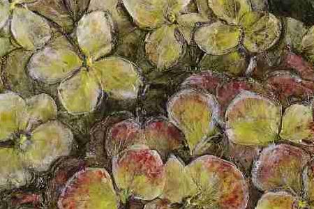 Фрагмент Hortensia