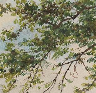 Фрагмент Hоtel des Sables Blancs Trieboul