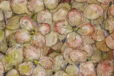 Фрагмент Hydrancea