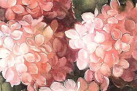Фрагмент Hydrangeas in Pink