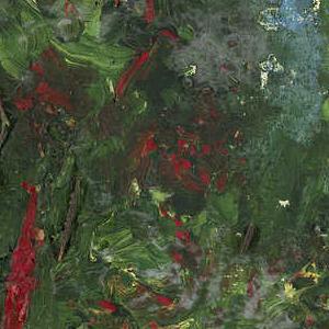 Фрагмент In the Forest