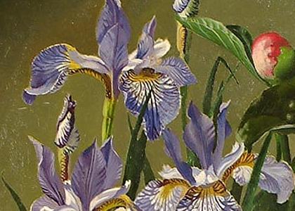 Фрагмент Iris and peonies