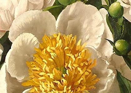 Фрагмент Iris and peonies