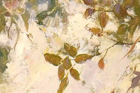 Фрагмент Iris shadows.